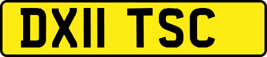 DX11TSC