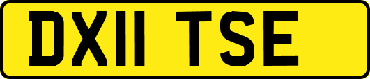 DX11TSE