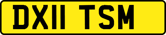 DX11TSM