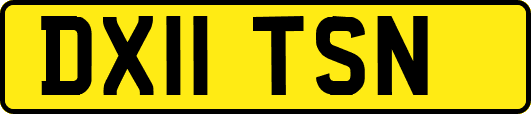 DX11TSN