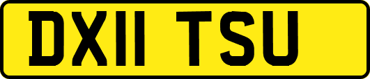 DX11TSU