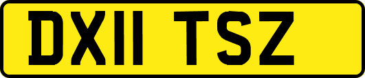 DX11TSZ