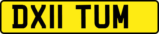 DX11TUM