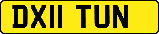 DX11TUN