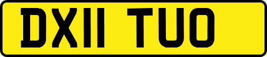 DX11TUO