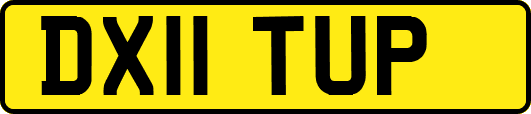 DX11TUP