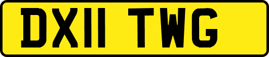 DX11TWG