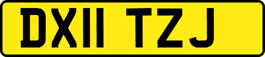 DX11TZJ