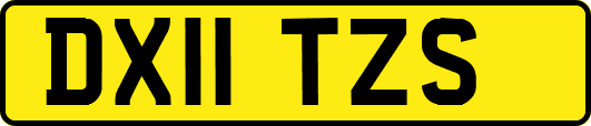 DX11TZS