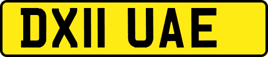 DX11UAE