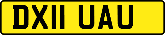 DX11UAU