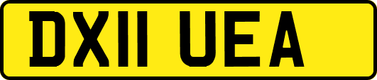 DX11UEA