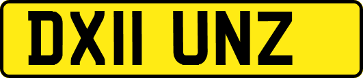 DX11UNZ
