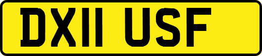 DX11USF