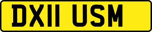 DX11USM