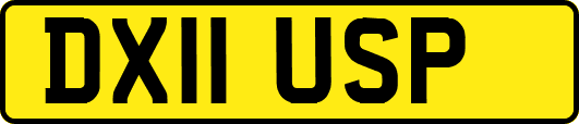 DX11USP