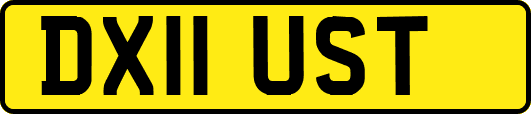 DX11UST