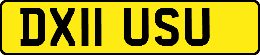 DX11USU