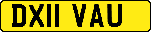 DX11VAU