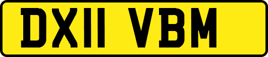 DX11VBM
