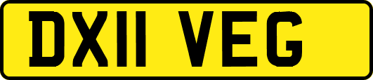 DX11VEG