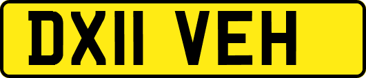 DX11VEH