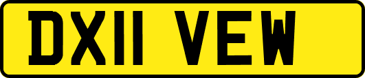 DX11VEW