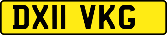 DX11VKG