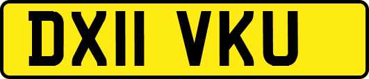 DX11VKU