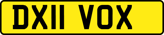 DX11VOX