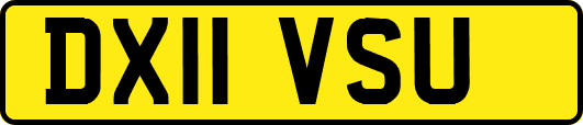 DX11VSU