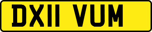 DX11VUM
