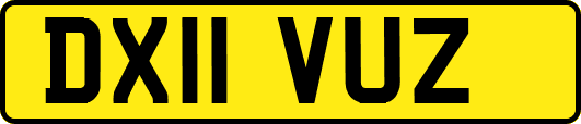 DX11VUZ