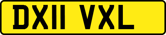DX11VXL