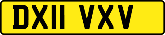 DX11VXV