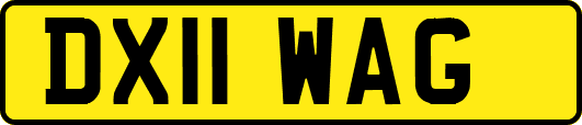 DX11WAG