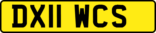 DX11WCS