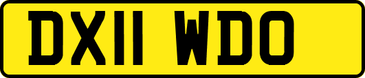DX11WDO