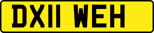 DX11WEH