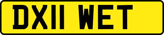 DX11WET