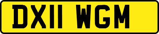 DX11WGM
