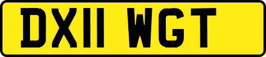 DX11WGT