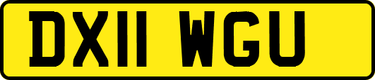 DX11WGU