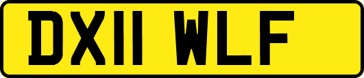 DX11WLF