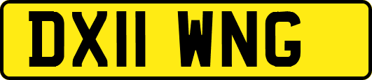 DX11WNG