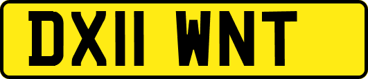 DX11WNT