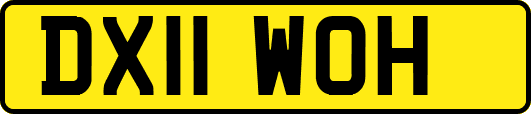 DX11WOH