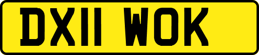 DX11WOK