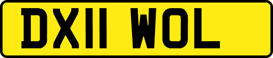 DX11WOL