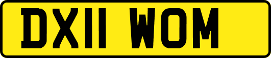 DX11WOM